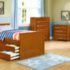 Beadboard Twin Size Panel Bed and Modesty Panel Rustic Pecan